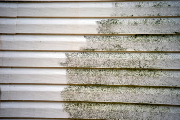 Best Carpet Removal and Disposal  in Jordan, NY